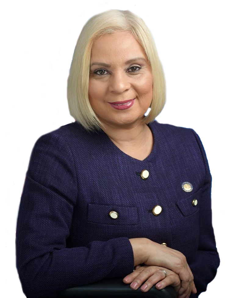 New York State Assembly Maritza Davila