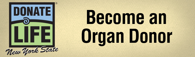 Organ Donor