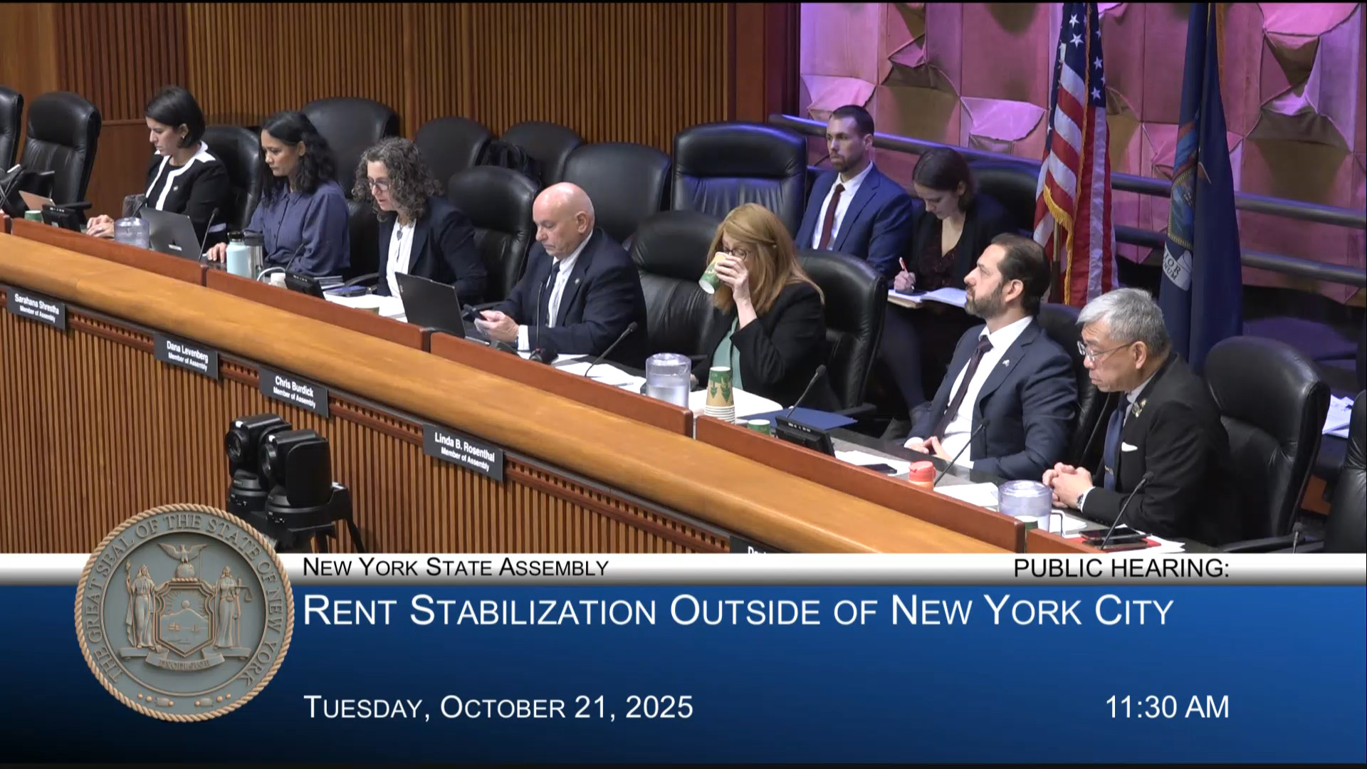 Assembly Holds Public Hearing on Rent Stabilization Outside NYC