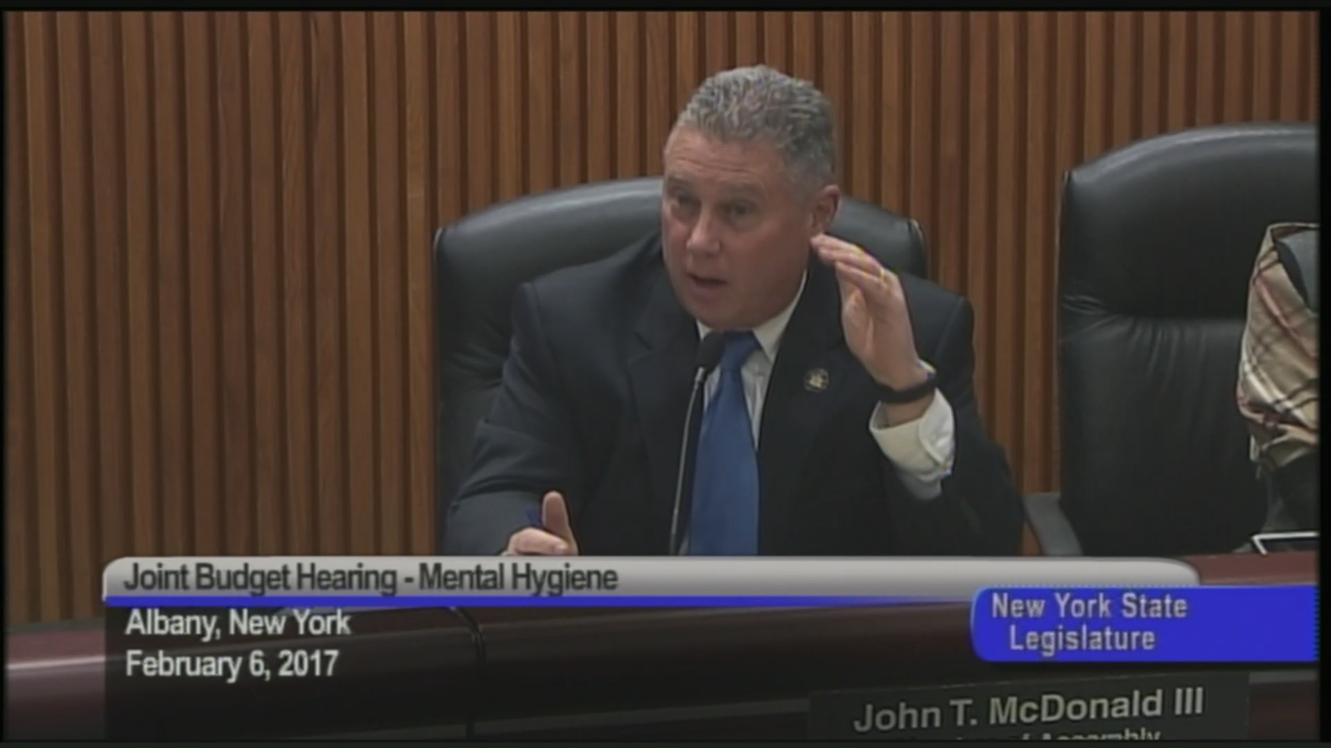Joint Senate and Assembly Budget Hearing on Mental Hygiene