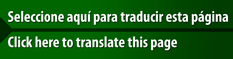 Translate Page Translate Page