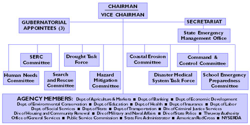 New York State Department Of Health Organizational Chart