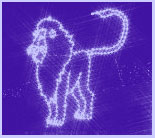 Bronx Zoo Holiday Lights/Luces festivas en el zoológico del Bronx