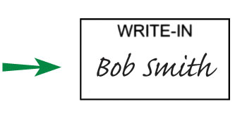 Write In