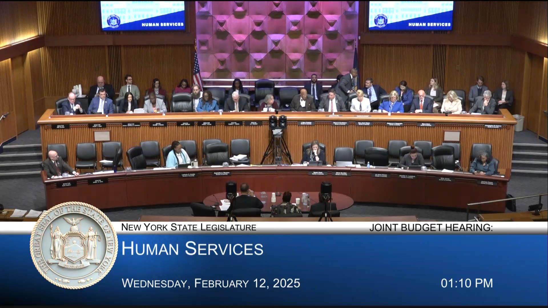 NYS Department of Veterans’ Services Commissioner Testifies During Joint Budget Hearing on Human Services