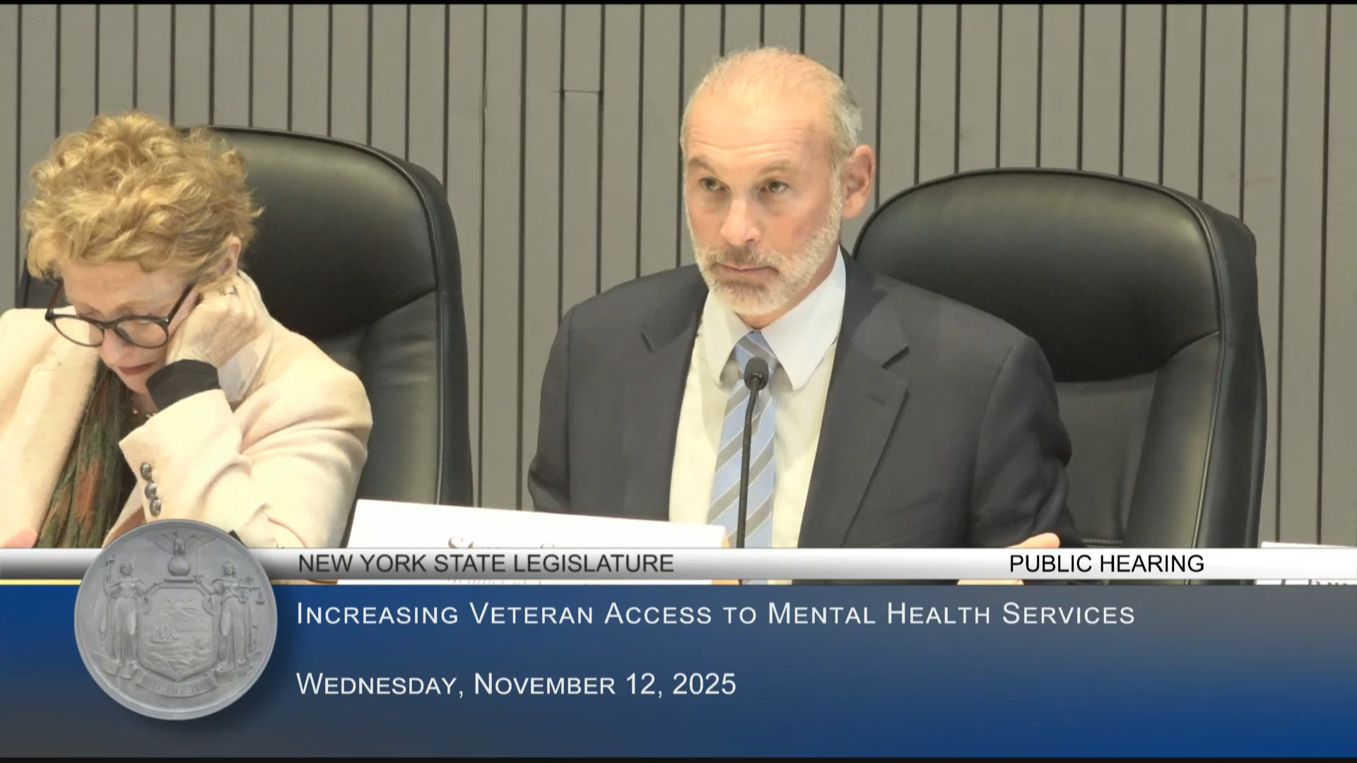 Stern Chairs LI Public Hearing on Ways to Increase Veterans’ Access to Mental Health Services