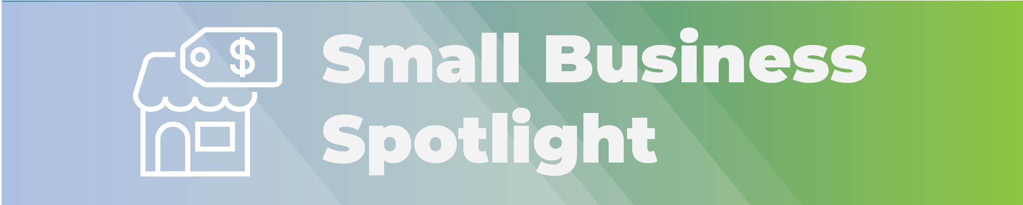 Spotlight on small business