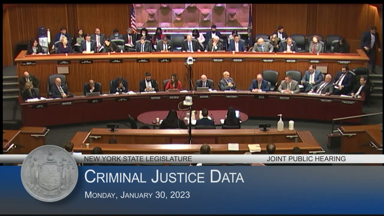 DCJS Commissioners Testify at Public Hearing Examining Crime Data