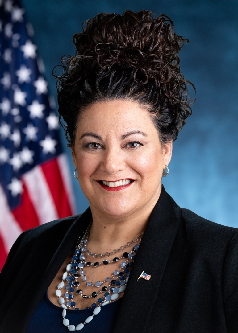 Subcommittee on  Occupational Licenses Chair  Gina L. Sillitti
