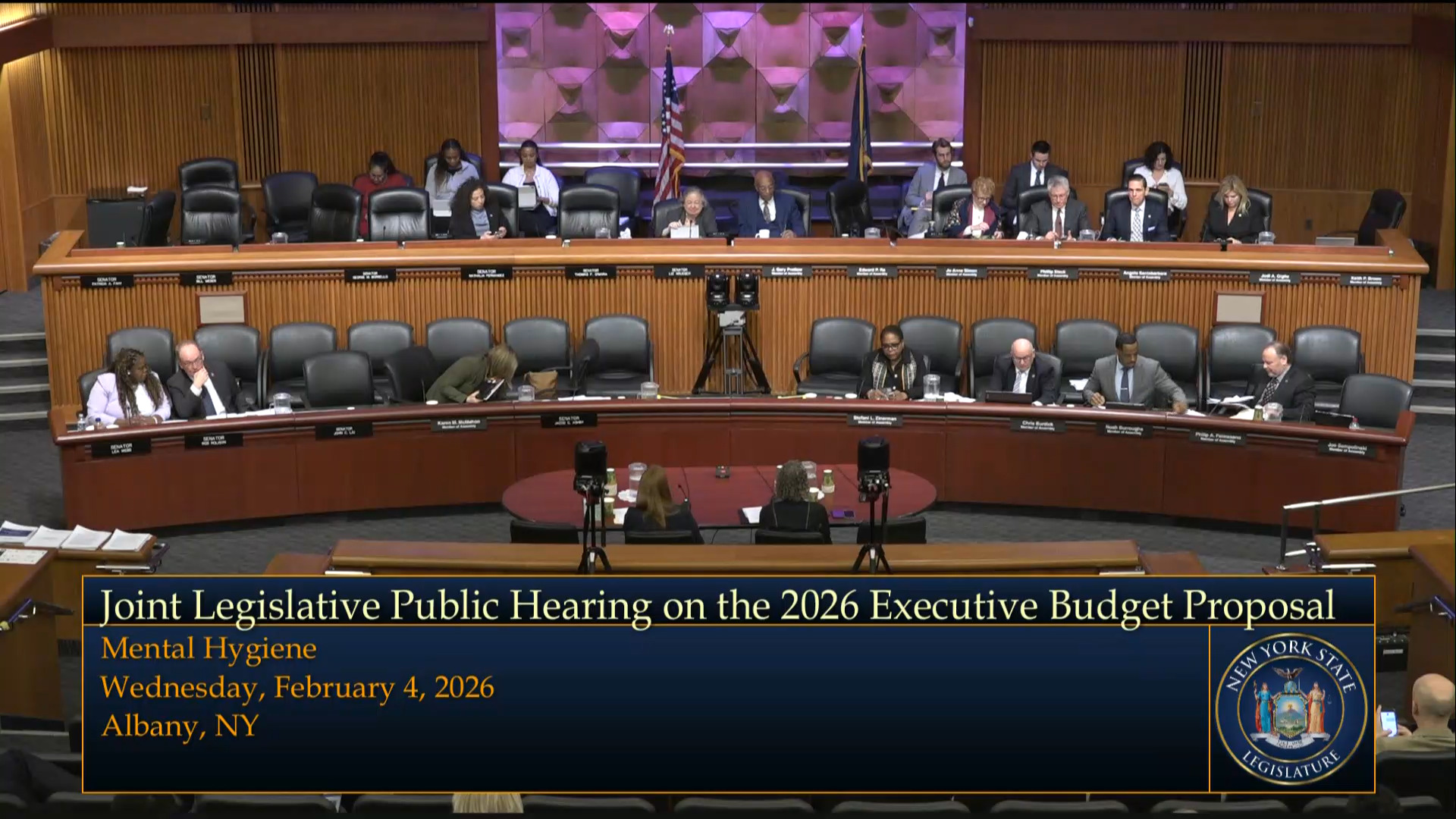 OASAS Commissioner Testifies During a Joint Budget Hearing on Mental Hygiene