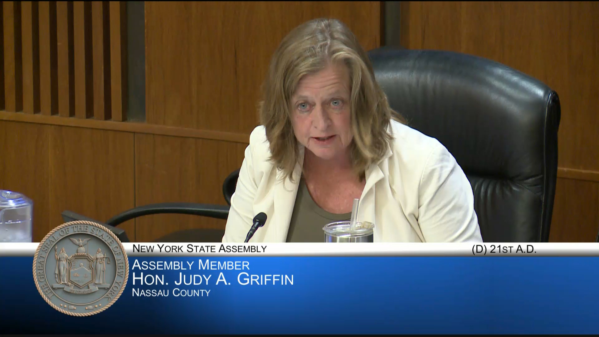 Public Hearing on Impact of Economic Development Programs funded in New State Budget