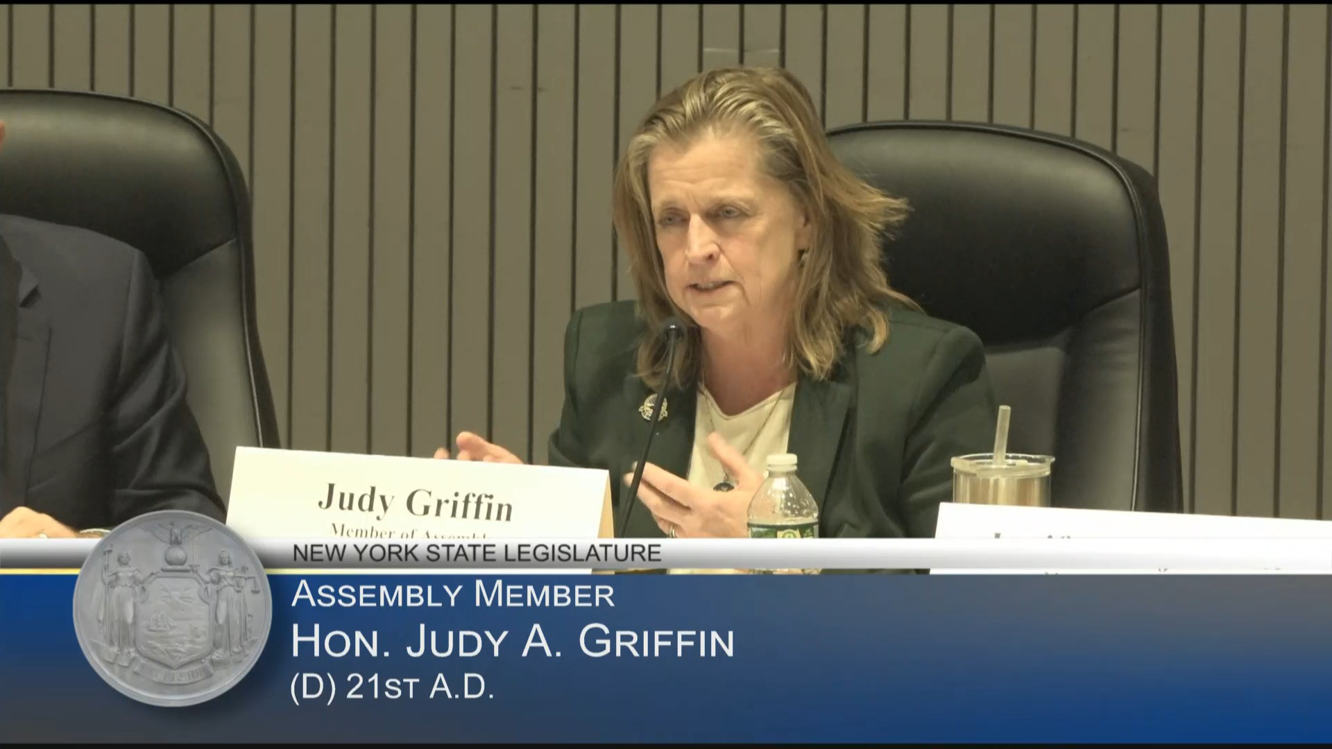 NYC Dept. of Veteran Services Commissioner Testifies at Public Hearing on Ways to Increase Veterans’ Access to Mental Health Services
