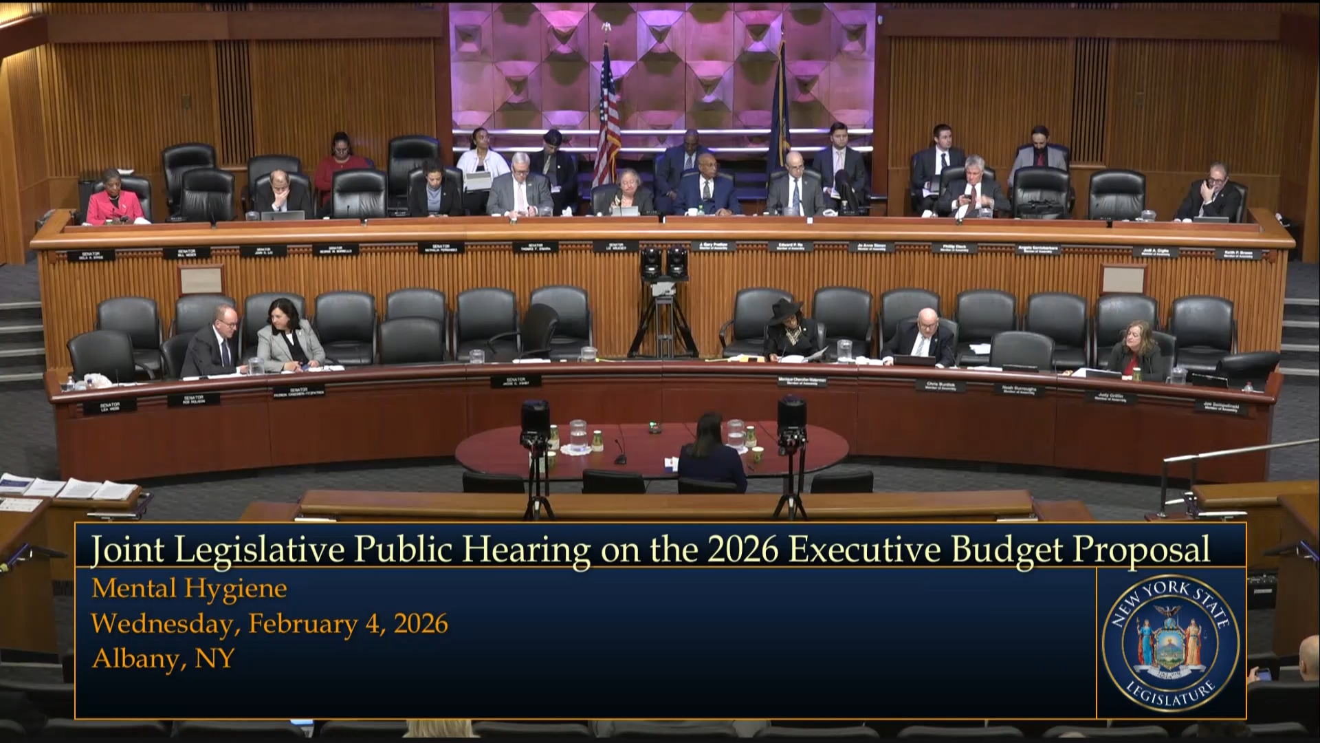 Protection of People with Special Needs Director Testifies During a Joint Budget Hearing on Mental Hygiene