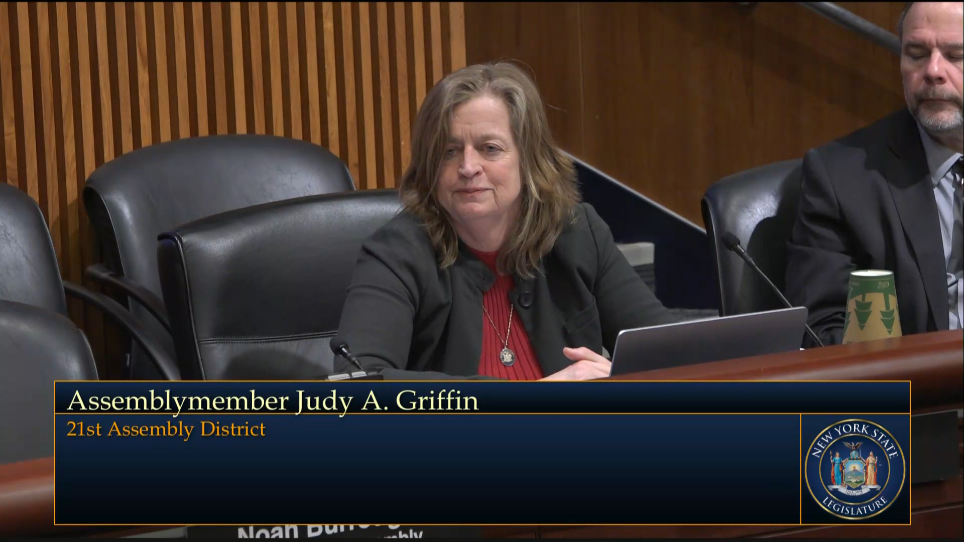 Mental Health Advocates Testify During a Joint Budget Hearing on Mental Hygiene