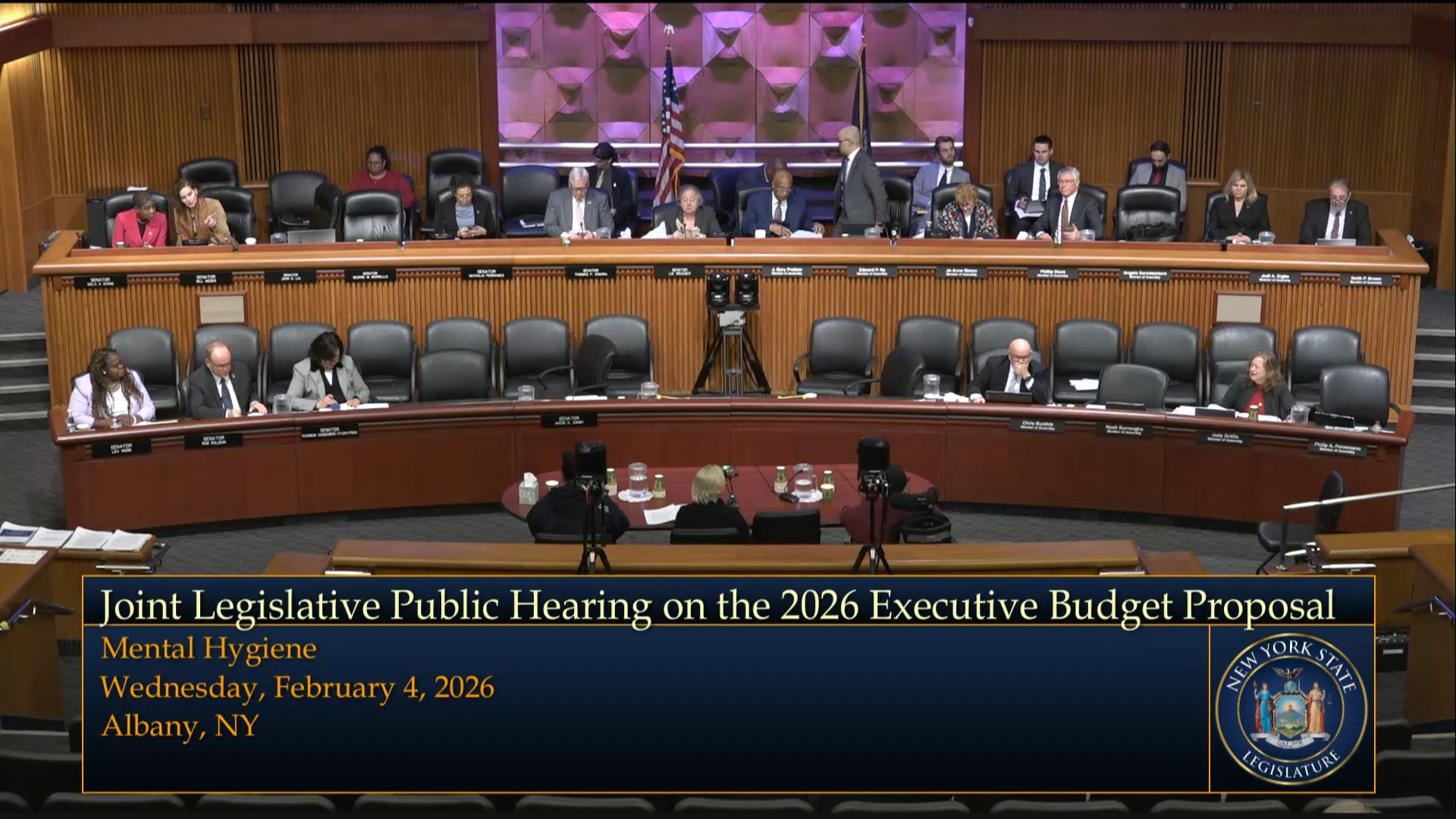 Griffin Questions Advocates During Joint Budget Hearing on Mental Hygiene