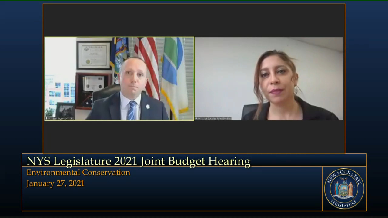 Gonzalez-Rojas Questions DEC Commissioner During Budget Hearing on Environmental Conservation