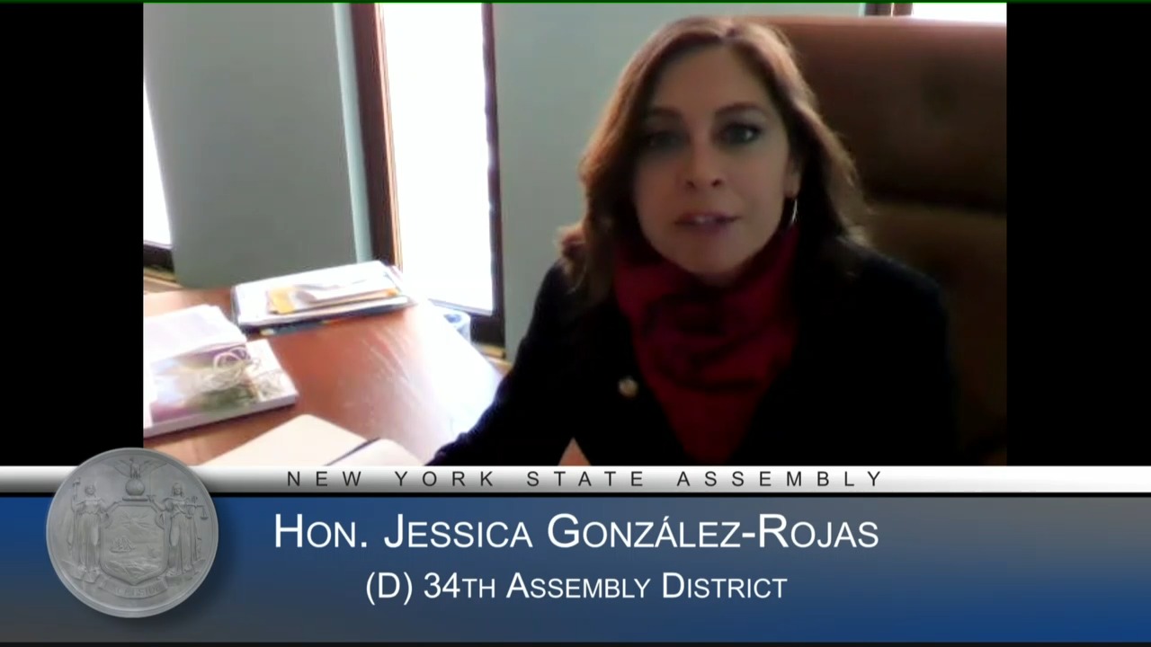 Gonzalez-Rojas in Opposition of Healthcare Amendments to the 2021-2022 Budget