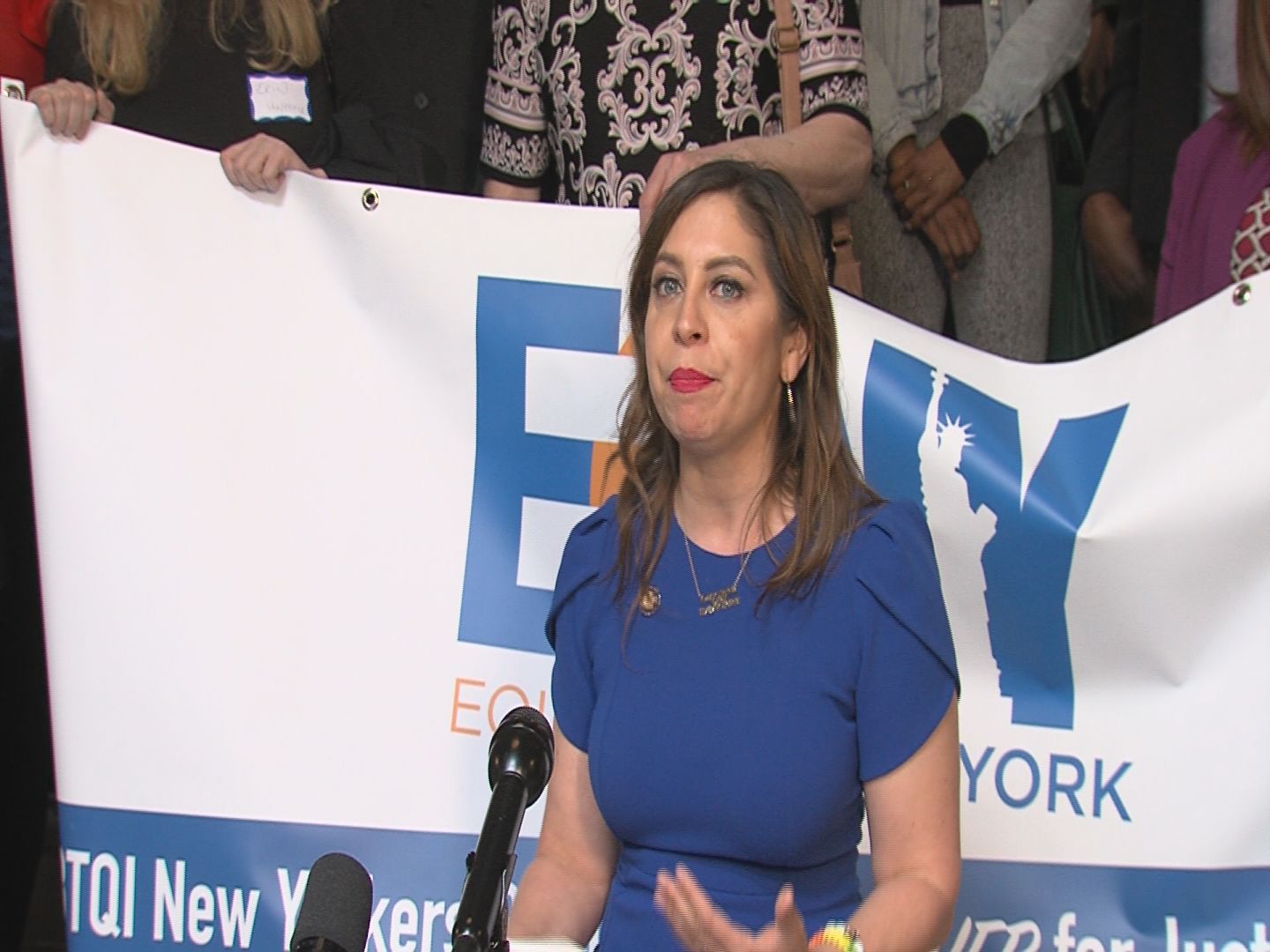 Gonzalez-Rojas Speaks Out at Equality NY Press Conference