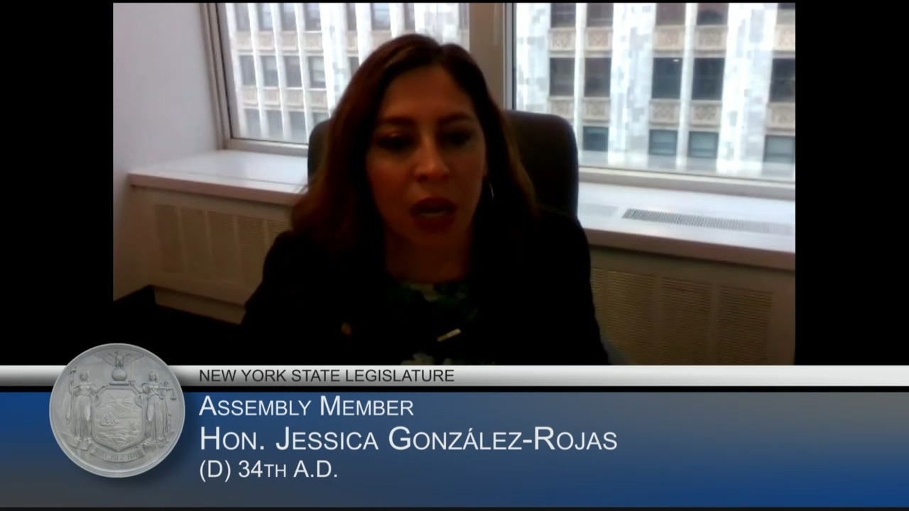 Gonzalez-Rojas Questions NYSERDA CEO During Hearing on All-Electric Buildings