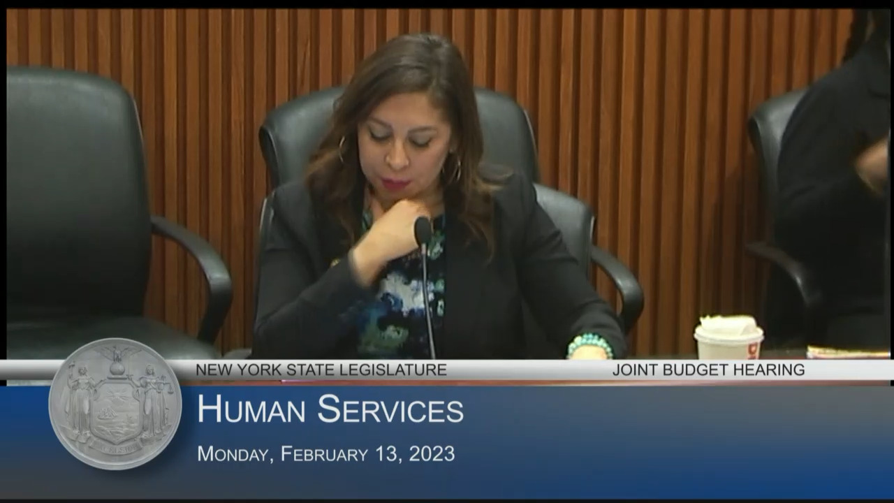 OTDA Commissioner Testifies During a Budget Hearing On Human Services