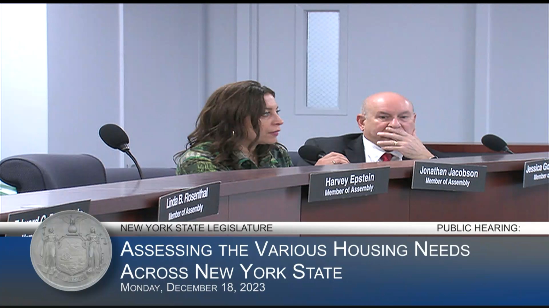 NY Community Mobilization Housing Works Director Testifies During a Public Hearing to Assess the Various Housing Needs Across NYS