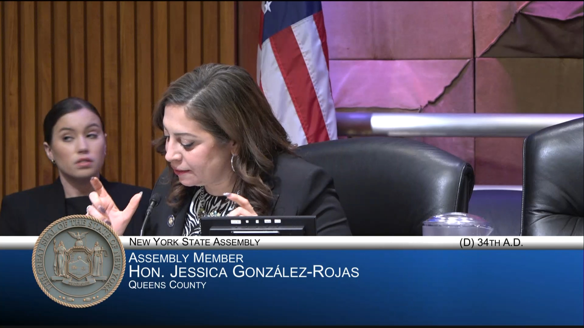 Dominican American Chamber of Commerce Executive Testifies During Public Hearing on MWBE Program