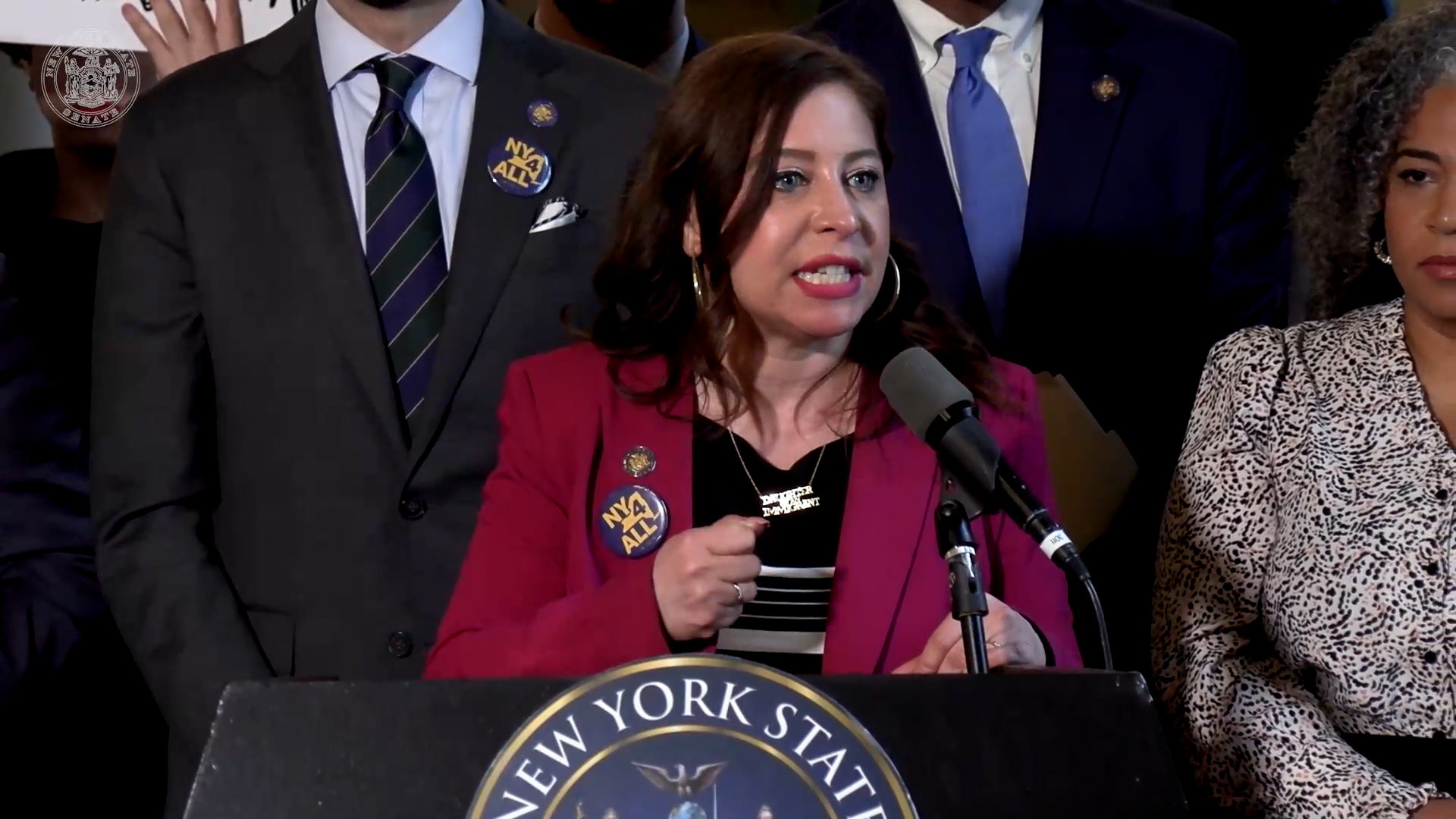 Gonzalez-Rojas Calls for Passage of New York For All Act