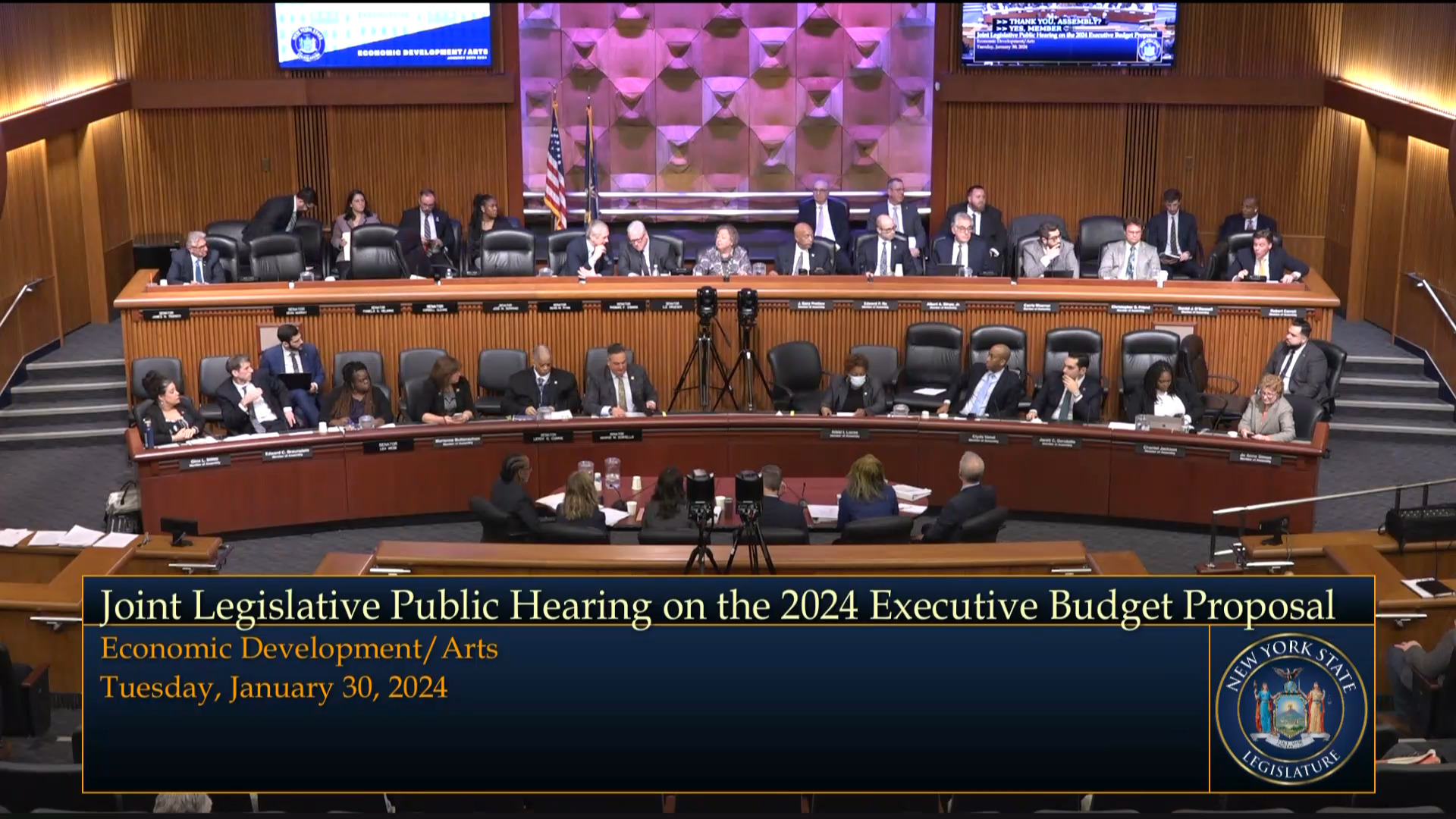 NYS Department of Economic Development Commissioner Testifies During Budget Hearing on Economic Development