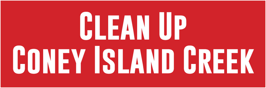 Clean Up Coney Island Creek