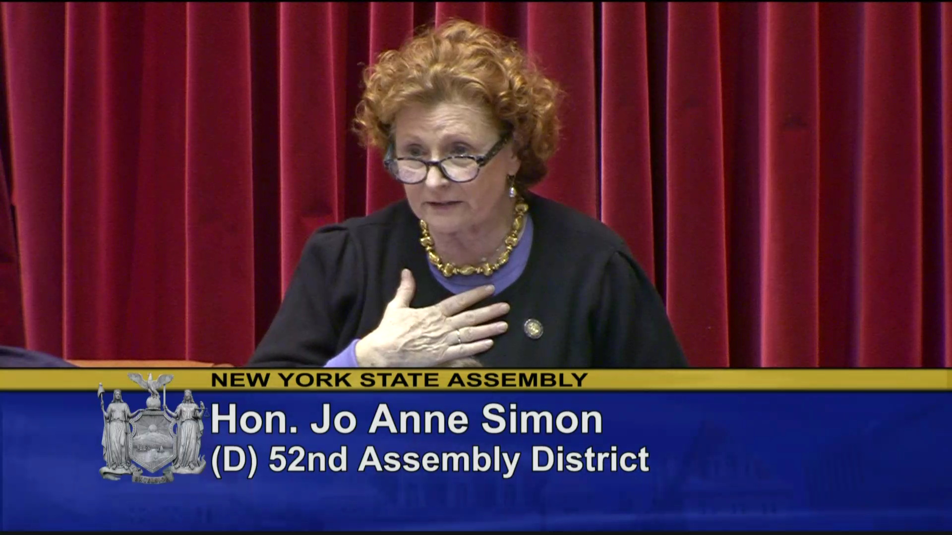 Assemblymember Jo Anne Simon Stands Up for LGBTQ Community