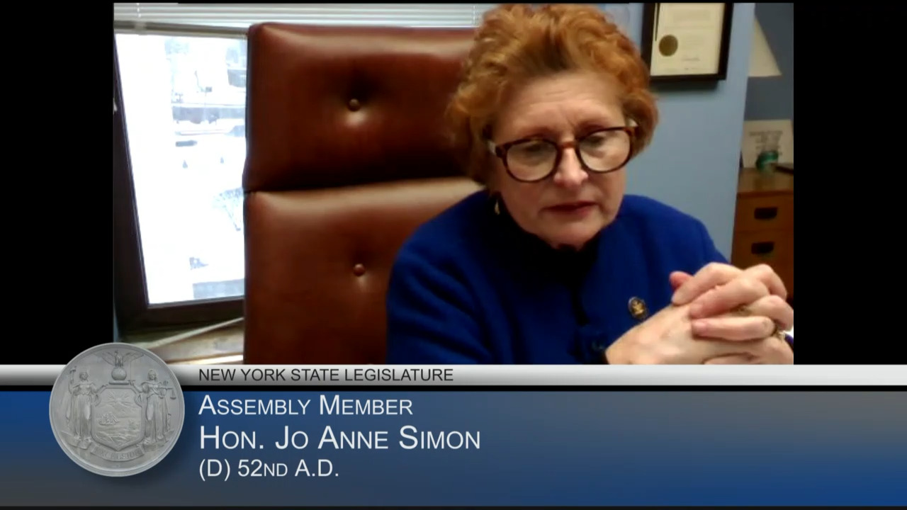 Simon Questions CUNY Chancellor During Budget Hearing on Higher Education