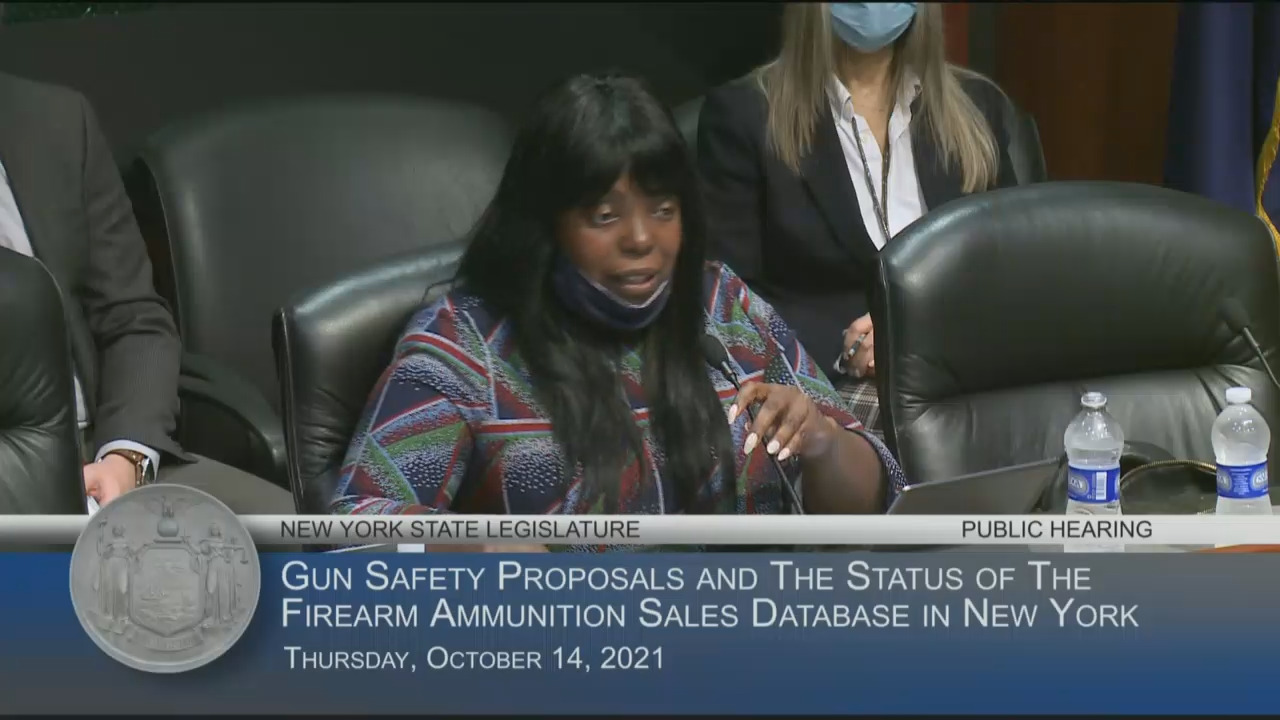Public Hearing on Gun Safety Proposals and the Status of the Firearm Ammunition Sales Database