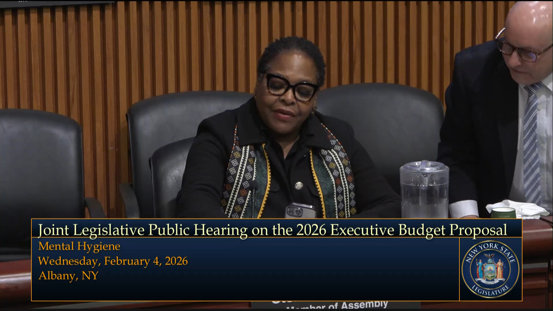 OPWDD Commissioner Testifies During a Joint Budget Hearing on Mental Hygiene