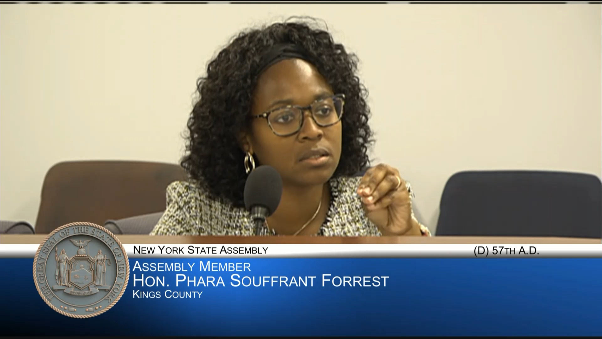 Medical Professionals Testify at Public Hearing on Medicinal Value and Risks of Psilocybin