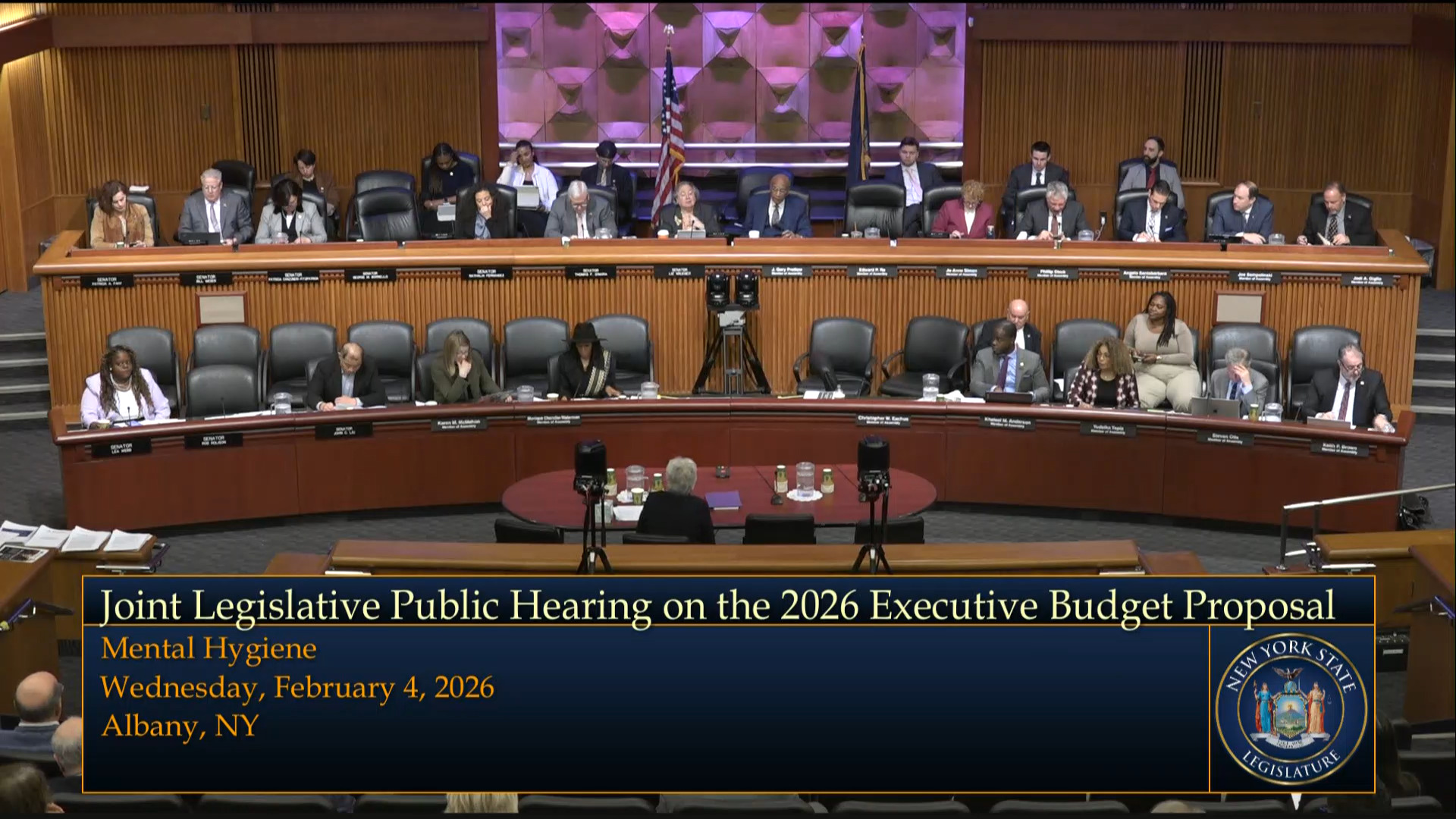 Mental Health Commissioner Testifies during a Joint Budget Hearing on Mental Hygiene