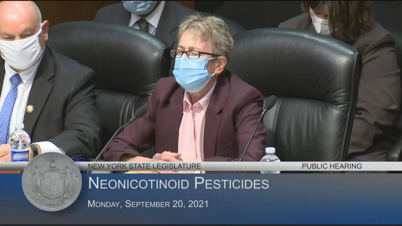 Public Hearing on the Impact of Neonicotinoid Pesticides on Pollinators