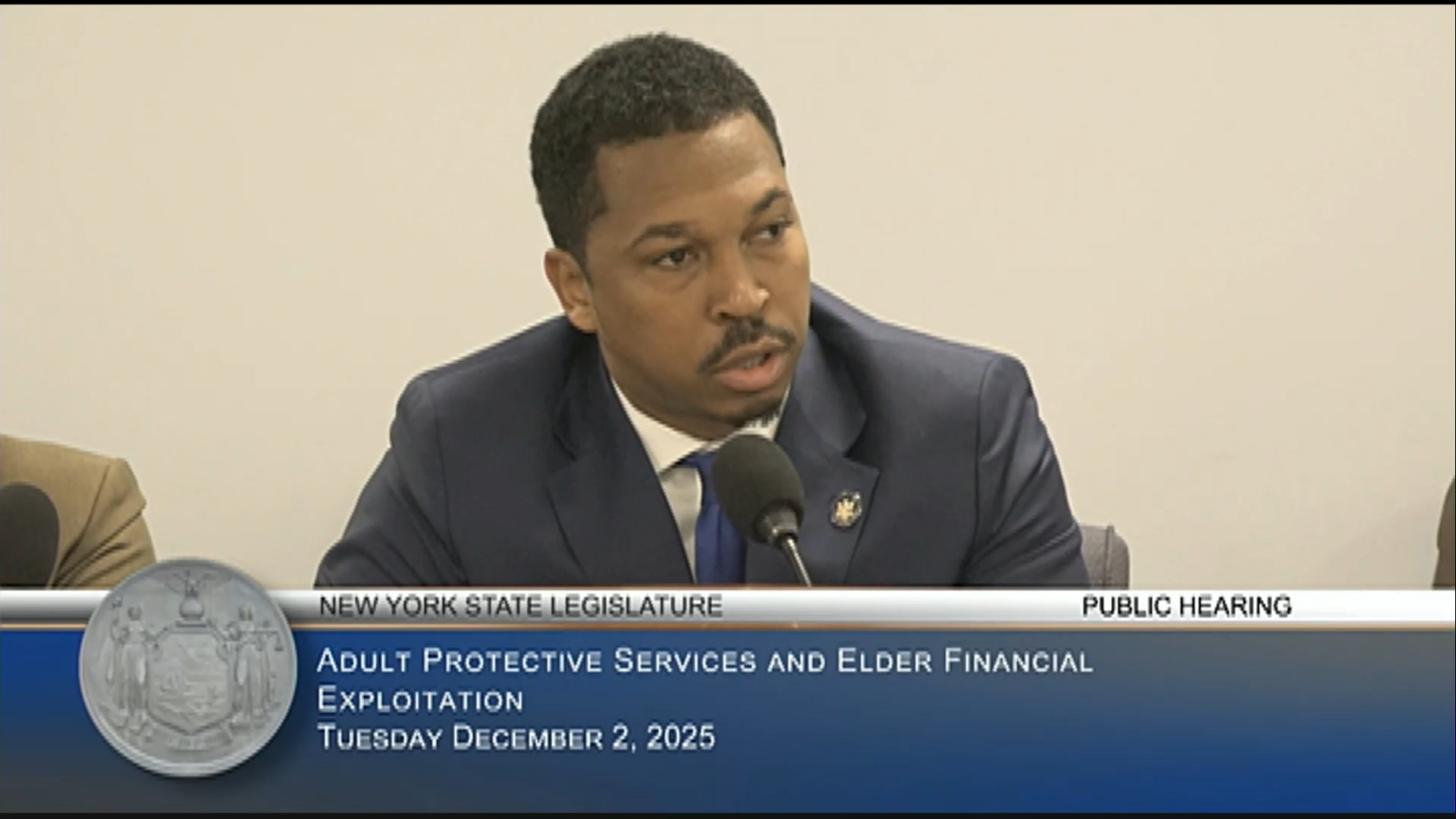 NYC Court Judges Testify During Public Hearing on Preventing Financial Fraud Against Older Adults