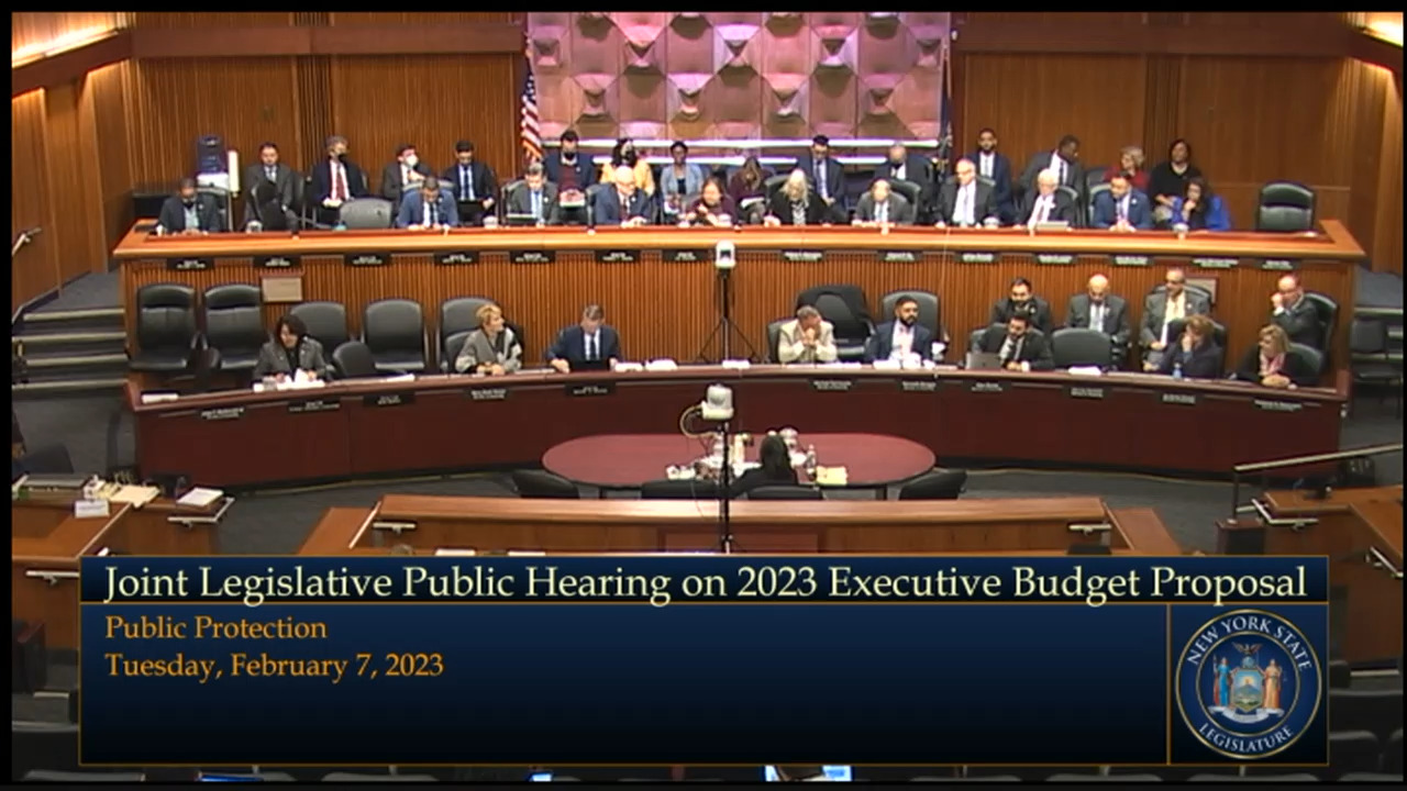 Chief Administrative Judge Testifies During a Budget Hearing on Public Protection