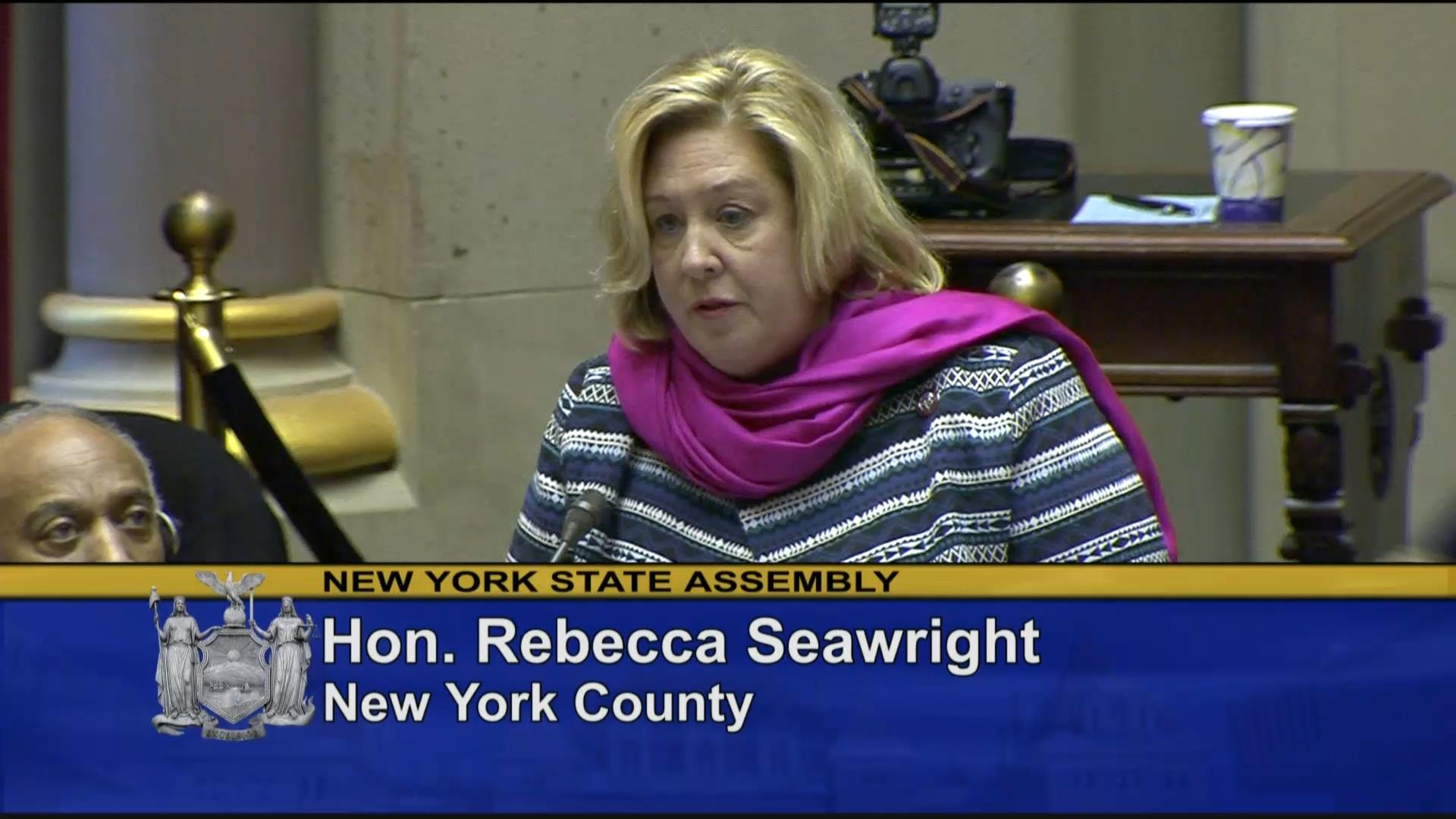 Seawright Works to Ensure Equal Rights for Women in NYS