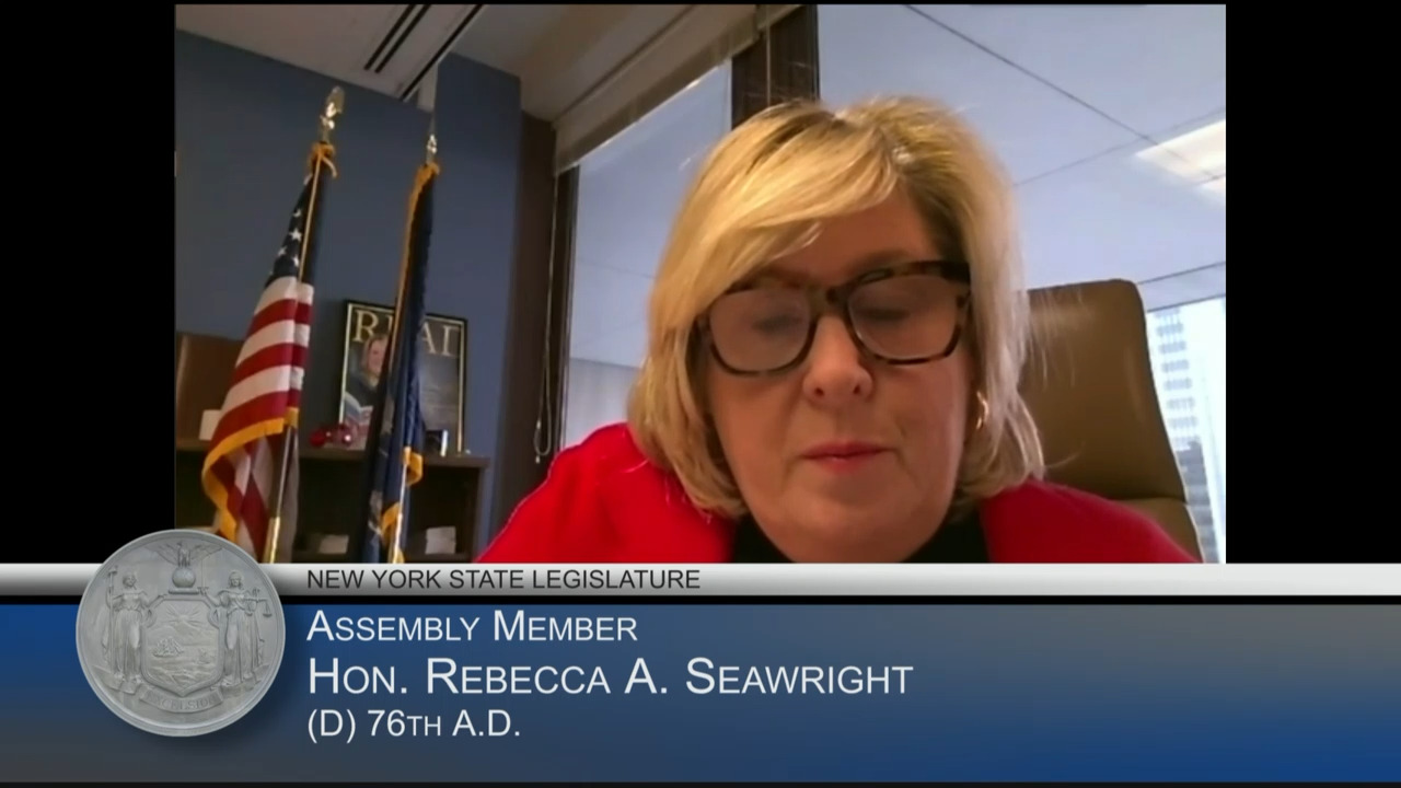 NYC Schools Chancellor Testifies During Budget Hearing on Elementary & Secondary Education