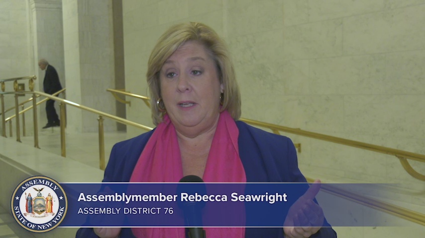 Equal Rights Bill Goes to the Voters