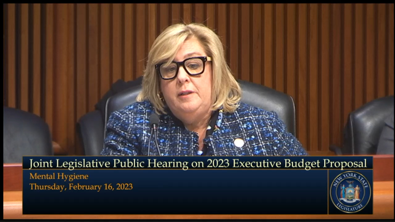 OPWDD Commissioner Testifies During Budget Hearing on Mental Hygiene