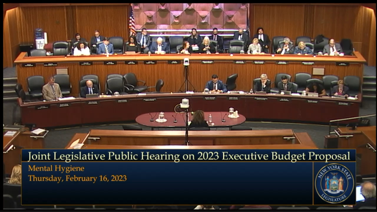 NYS Justice Center Director Testifies During Budget Hearing on Mental Hygiene