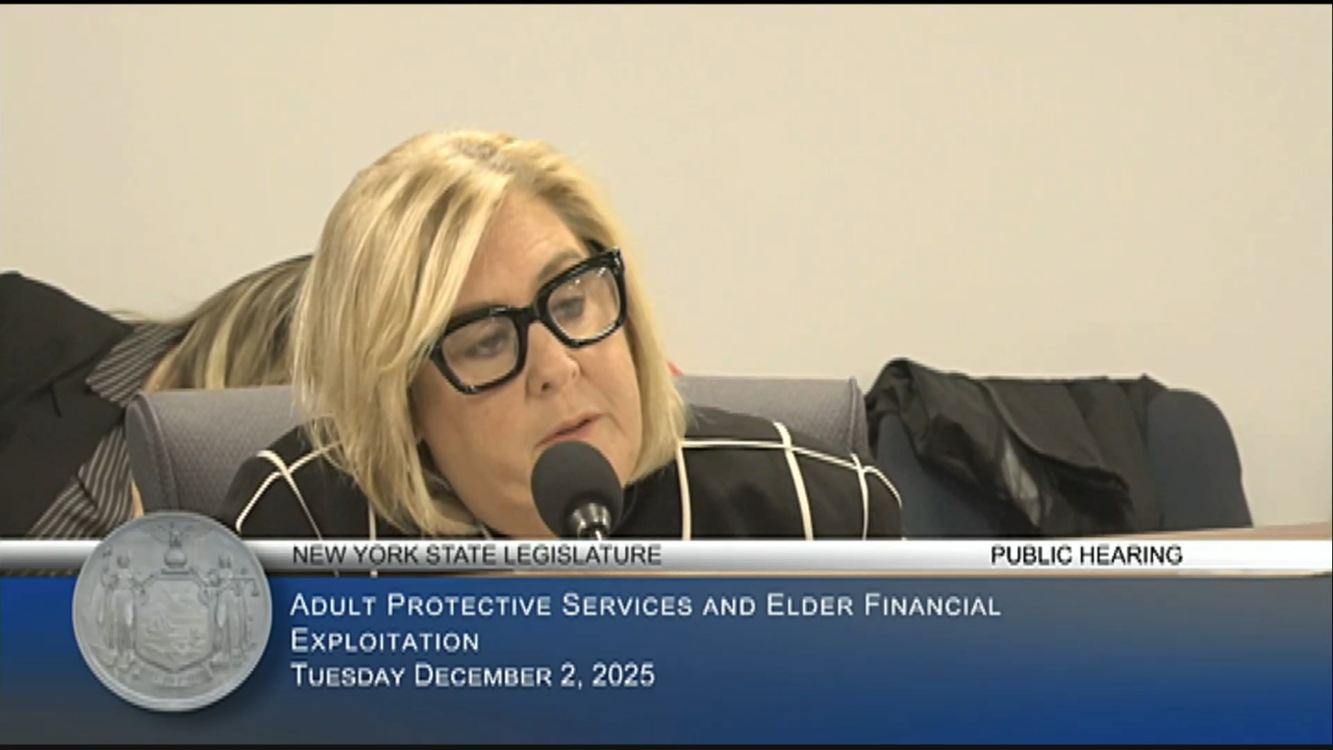 NYC Dept. of Aging Representative Testifies During Public Hearing on Preventing Financial Fraud Against Older Adults