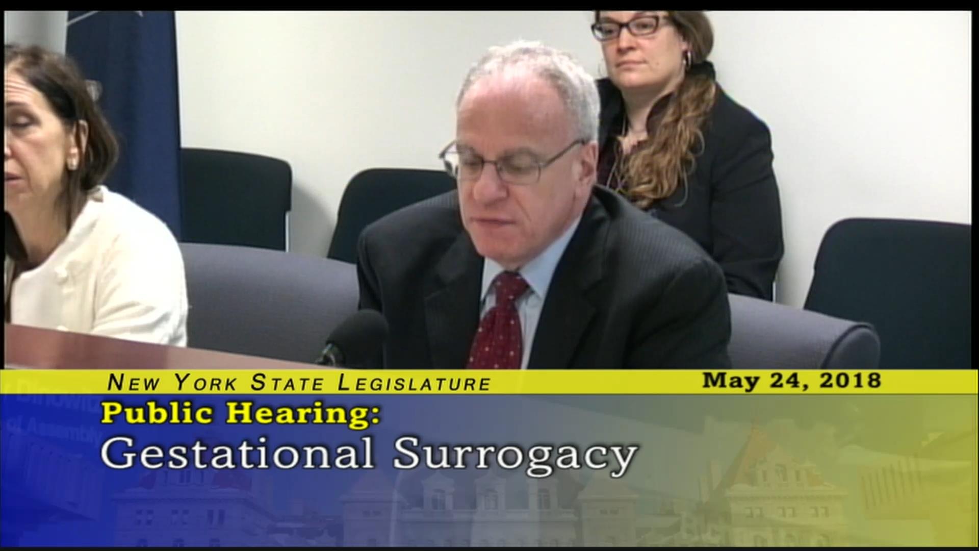 Dinowitz Questioning Costs for Surrogates