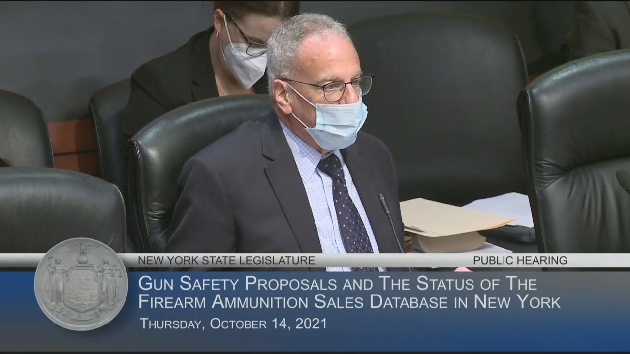 Public Hearing on Gun Safety Proposals and the Status of the Firearm Ammunition Sales Database (2)