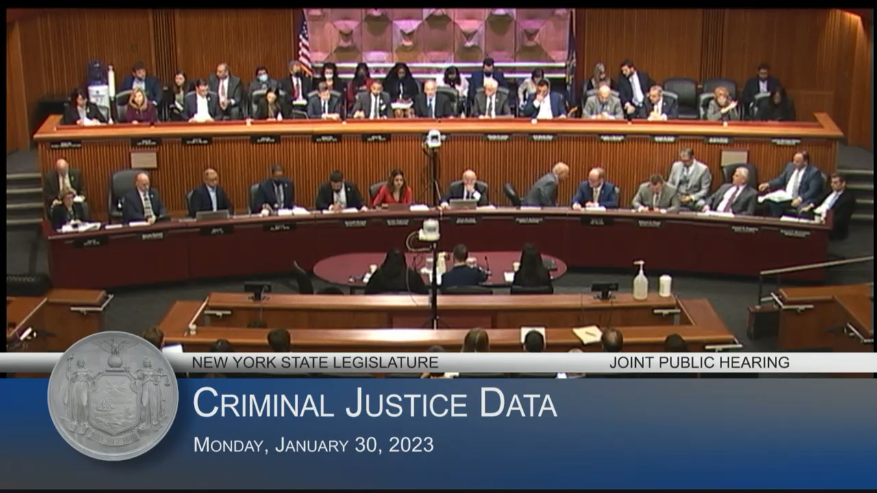 DCJS Commissioners Testify at Public Hearing Examining Crime Data