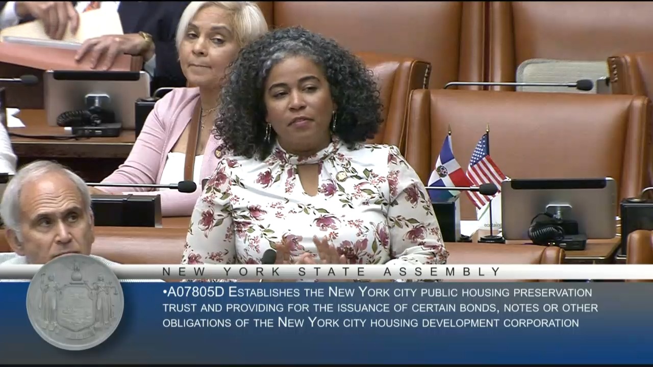 Reyes Against Establishing the New York City Public Housing Preservation Trust