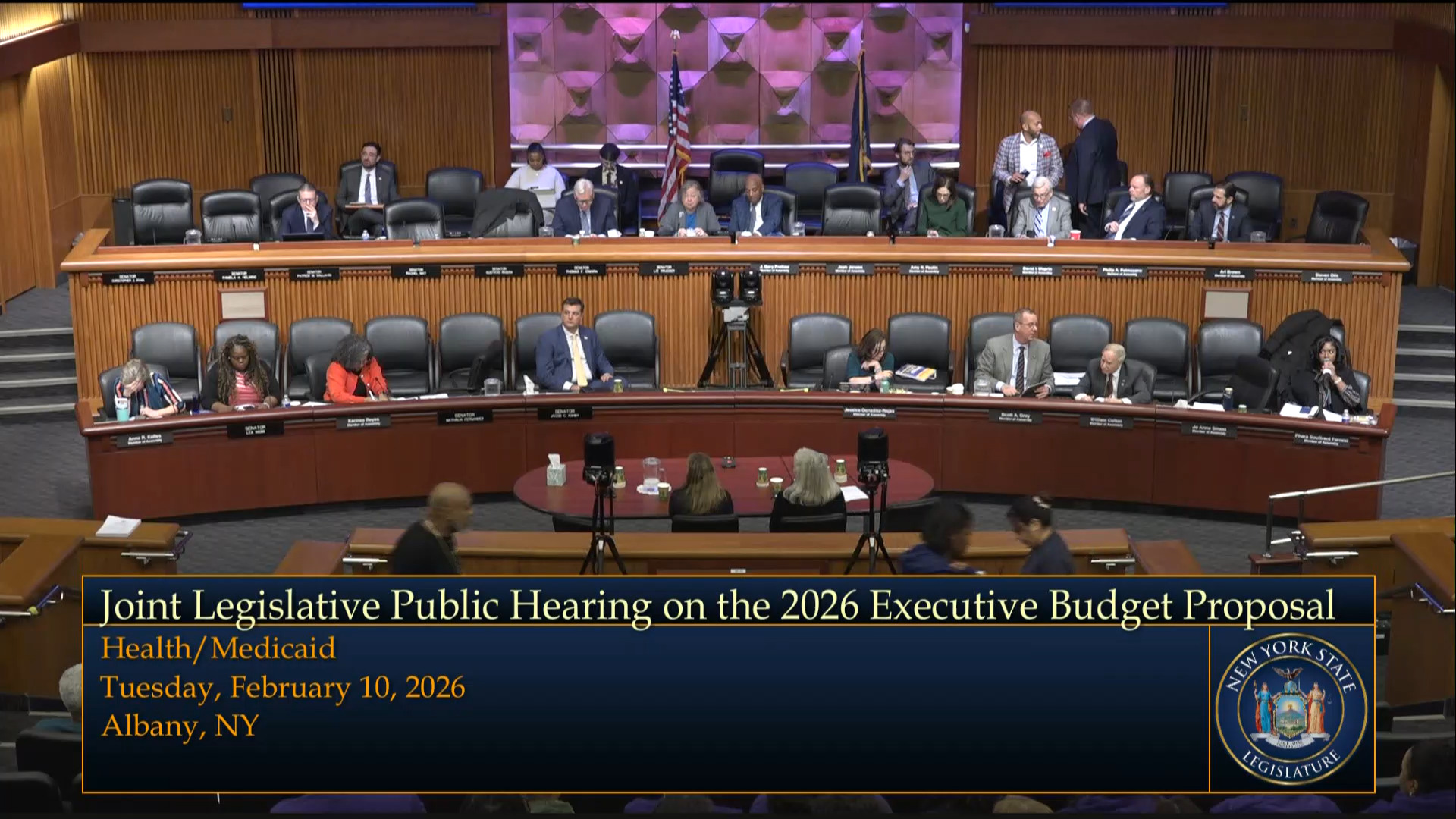 Healthcare Industry Representatives Testify During Budget Hearing on Health and Medicaid