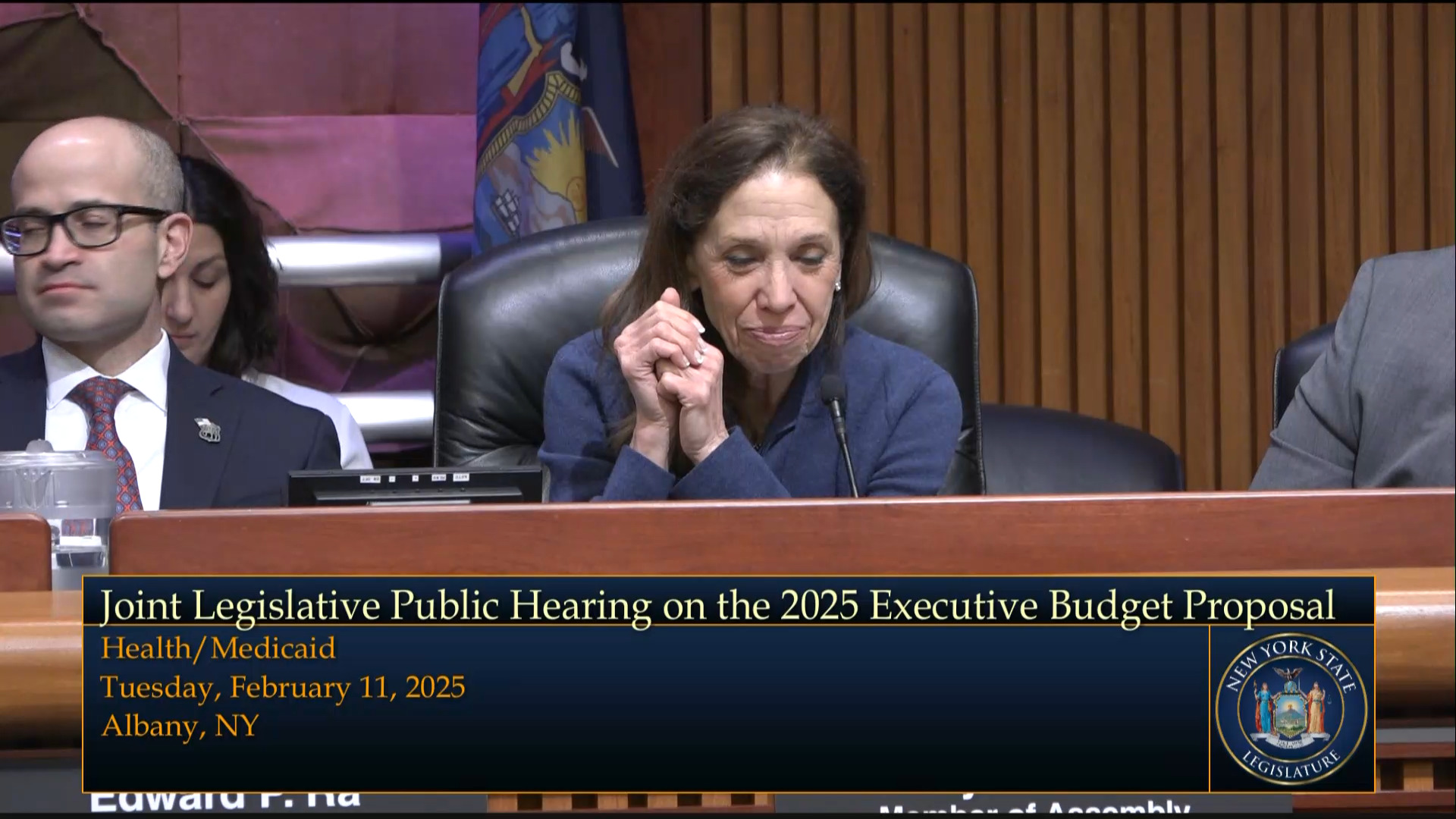 NY Health Plan Association President Testifies During Joint Budget Hearing on Health